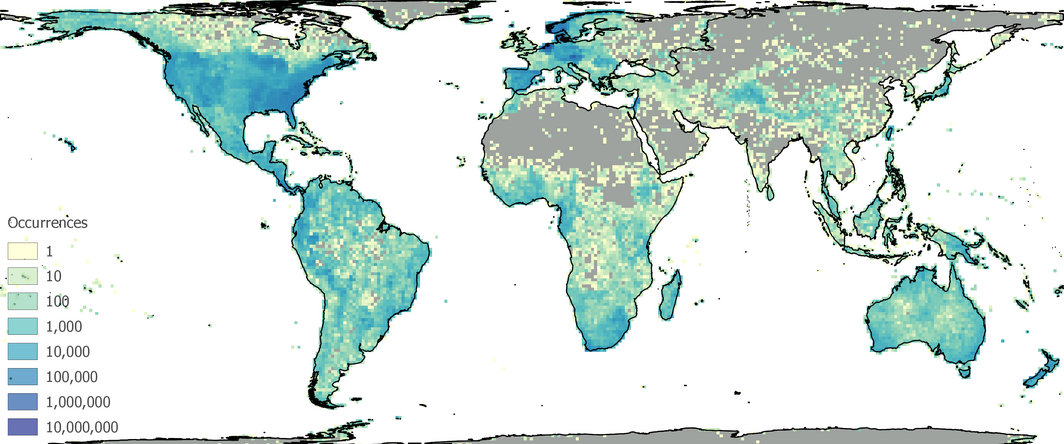 Global coverage of 81M botanical observations within BIEN